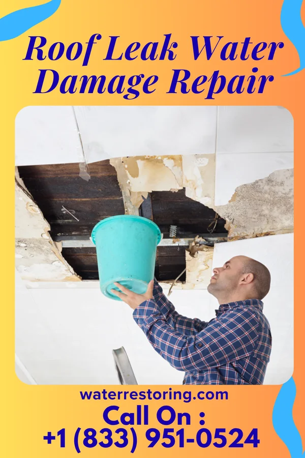 Roof Leak Water Damage Repair in East Dunseith, ND